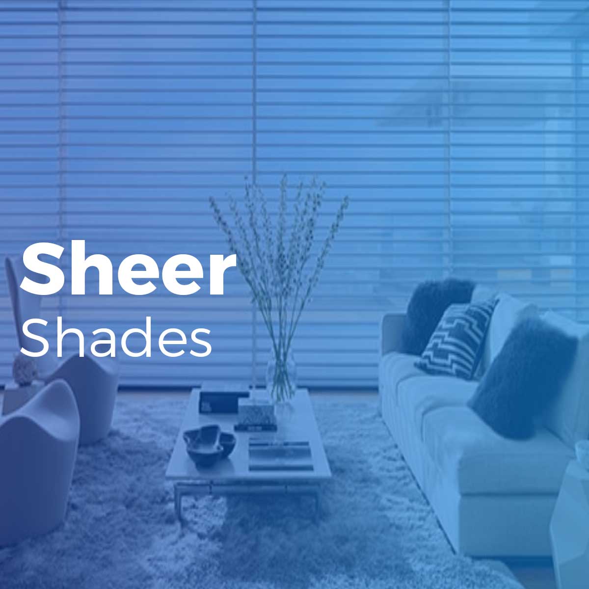 sheer-shade-window-covering-world-lms