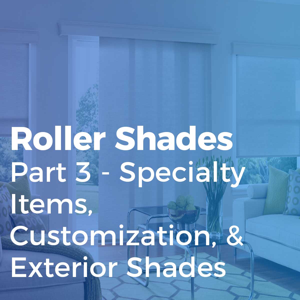 product-RollerShadesPart3 Roller Shades Part 3